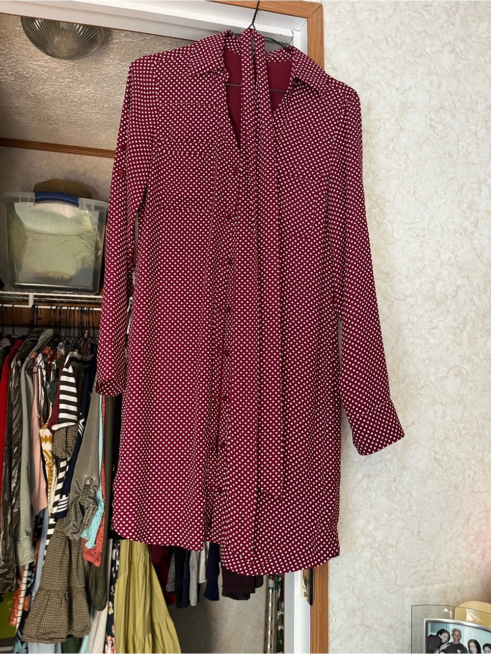 Express Burgundy Polka Dot Long-Sleeve Shirt Dress